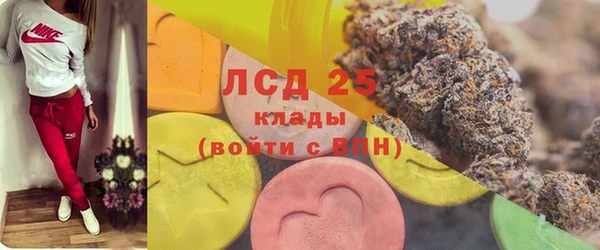 мдпв Карпинск