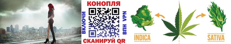 Бошки Шишки OG Kush  Купить где  Приморск 